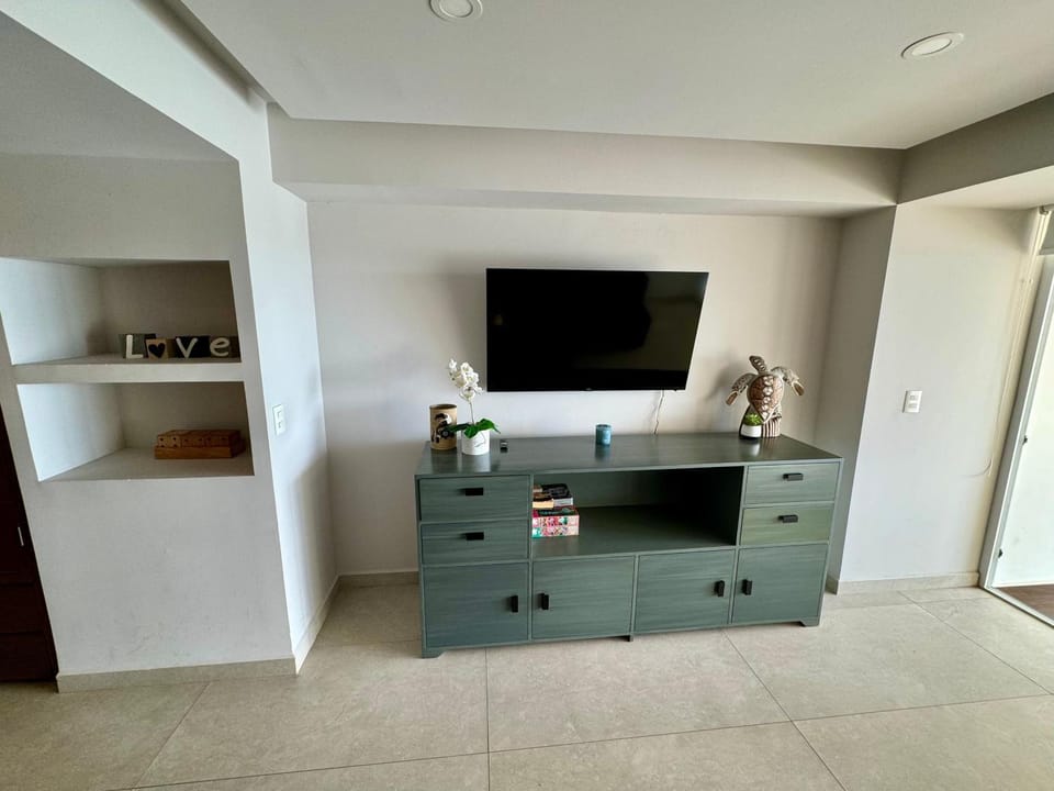 TV and multimedia
