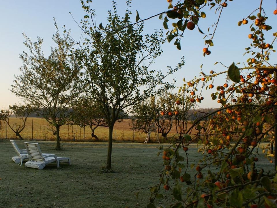 Gîte rénové au calme avec jardin clos à Boissets Country House in Île-de-France
