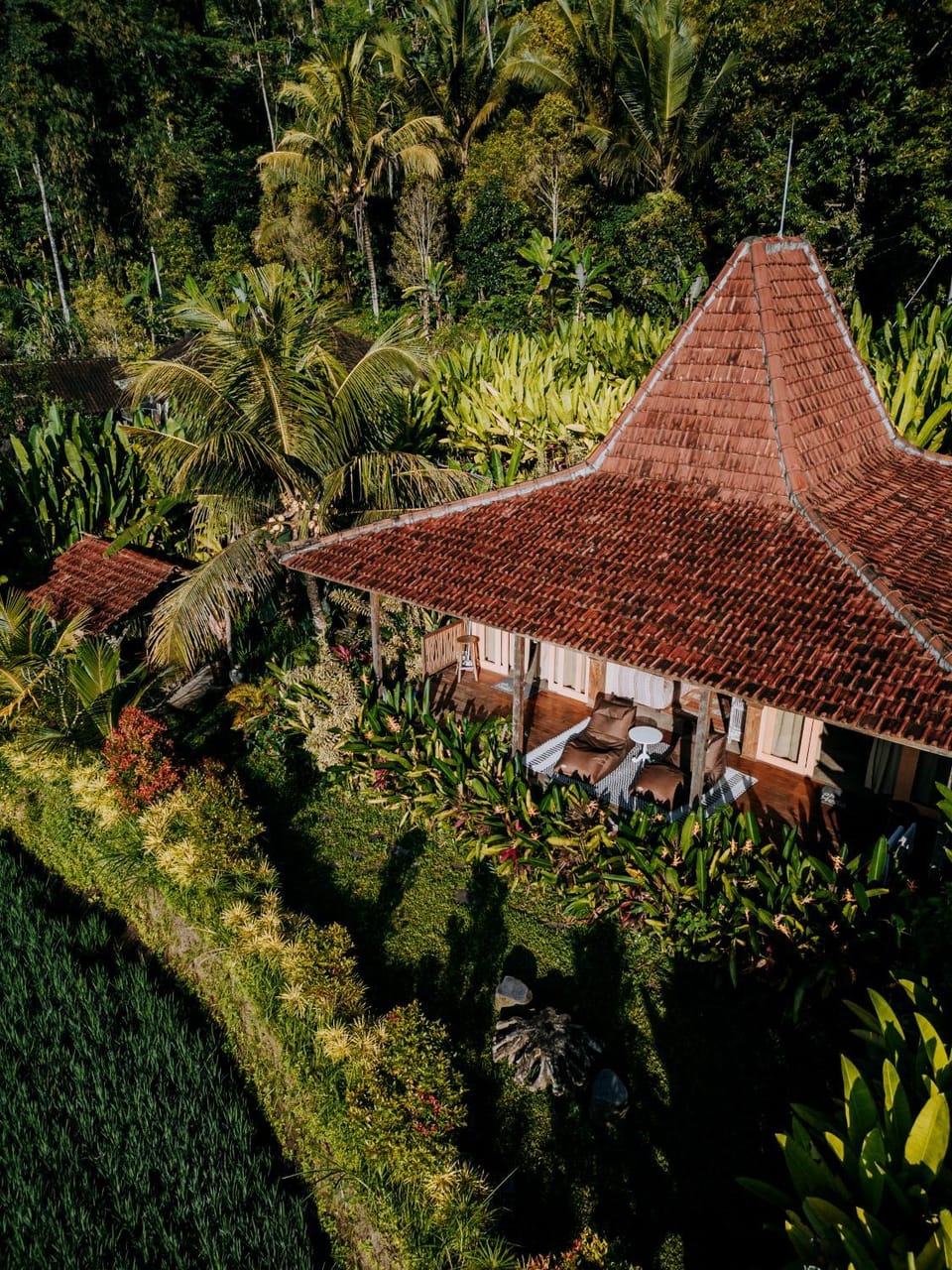 Day, Natural landscape, Garden view