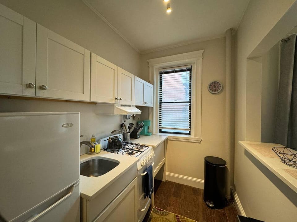 Cozy 1 Bed Near Boston Medical Apartment in Boston