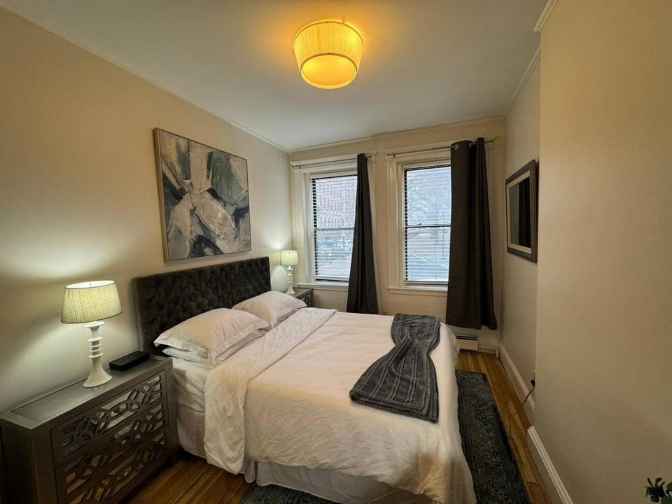 Cozy 1 Bed Near Boston Medical Apartment in Boston