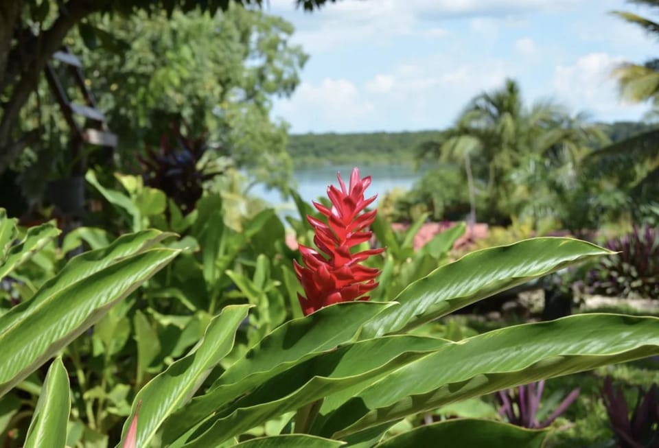 Villa Azul Xulha Bed and Breakfast in State of Quintana Roo