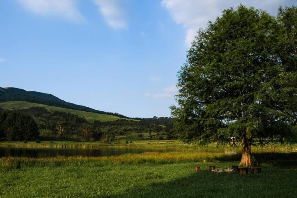 Spring, Day, Natural landscape