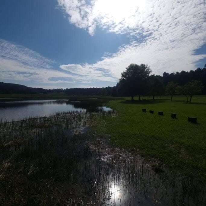Day, Natural landscape, Lake view