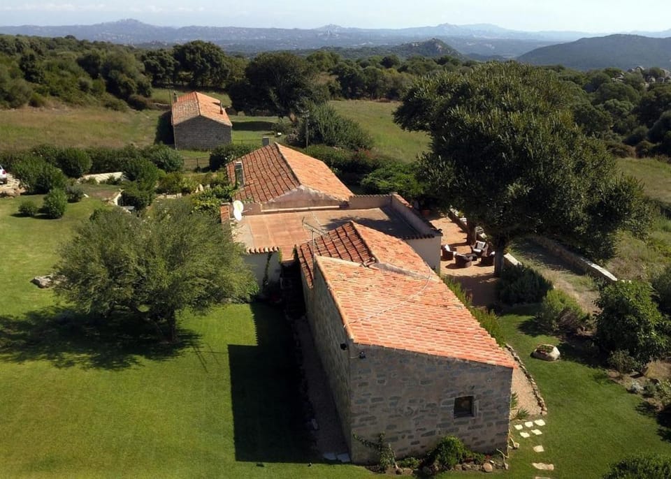 Bird's eye view, Garden