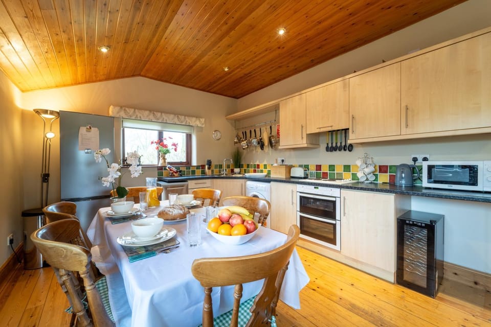 Kitchen or kitchenette, Food and drinks, Dining area, Food, dishwasher, oven, stove, toaster