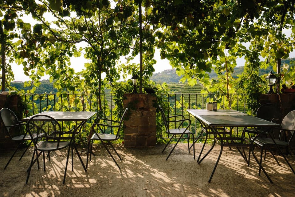 Patio, Garden view