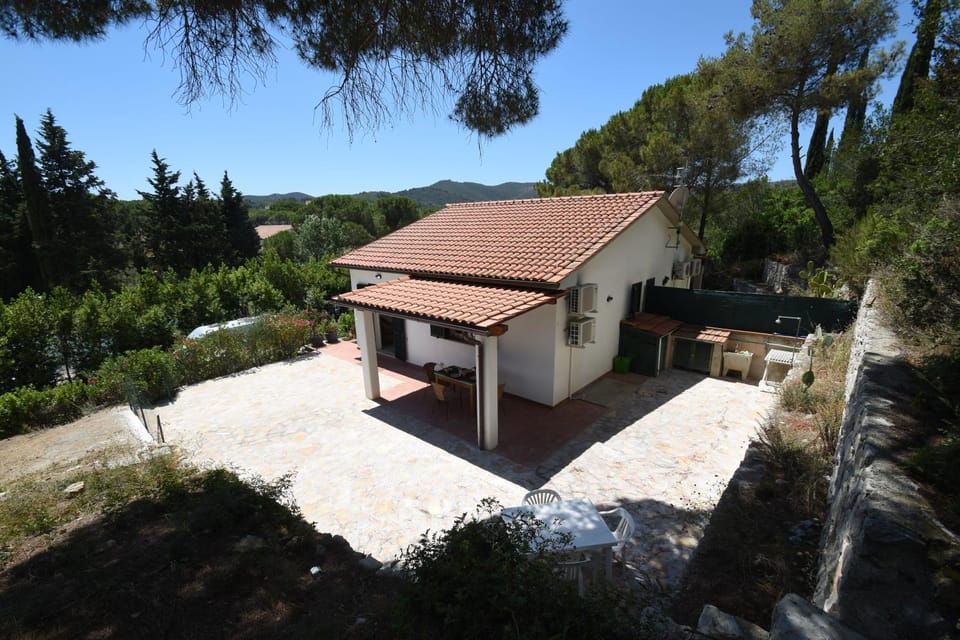 Property building, Garden, Garden view