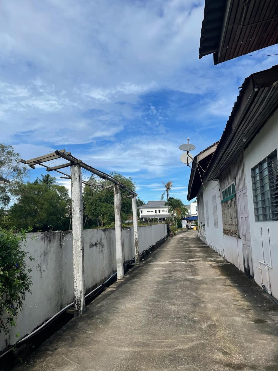 View (from property/room), Street view
