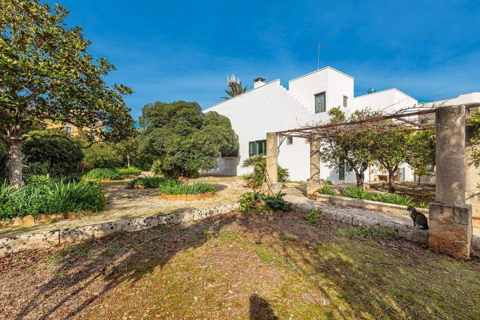 Property building, Garden