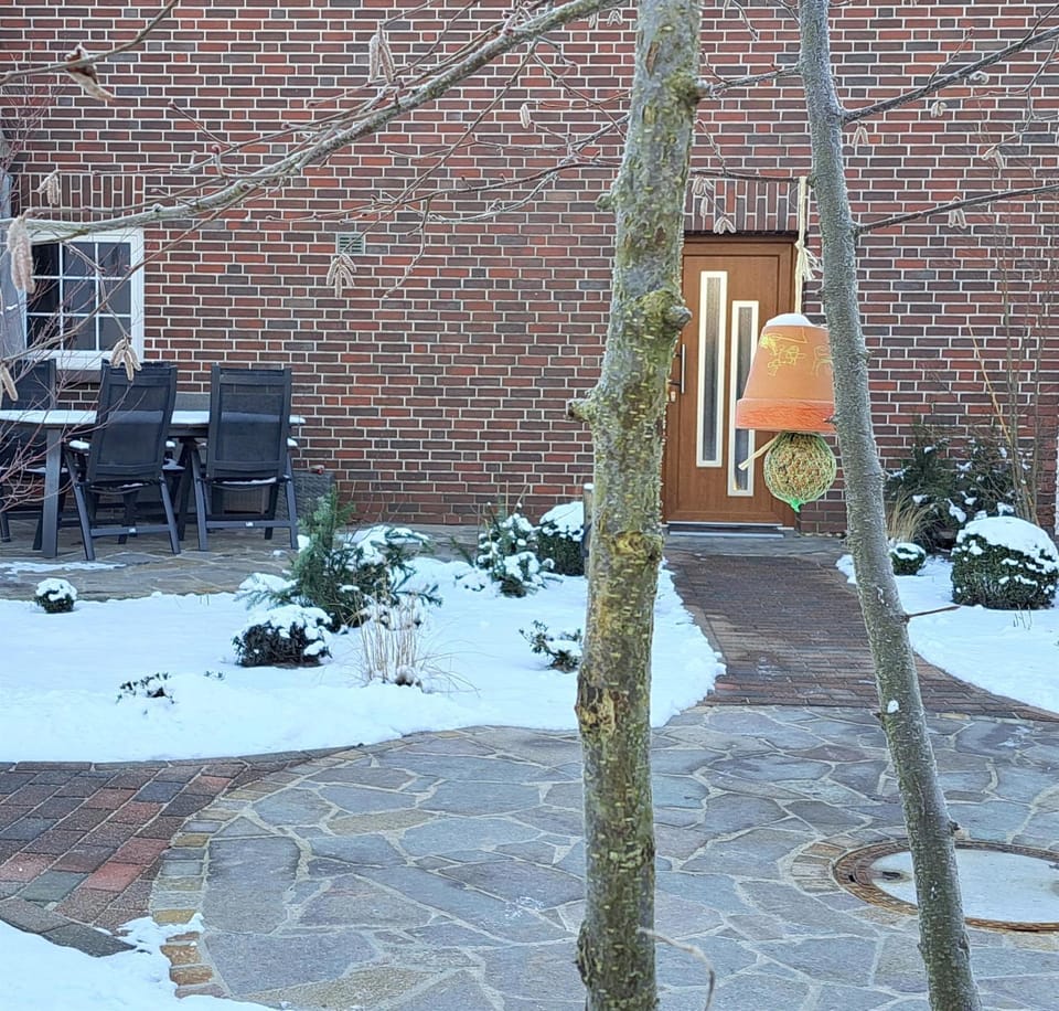 Property building, Winter