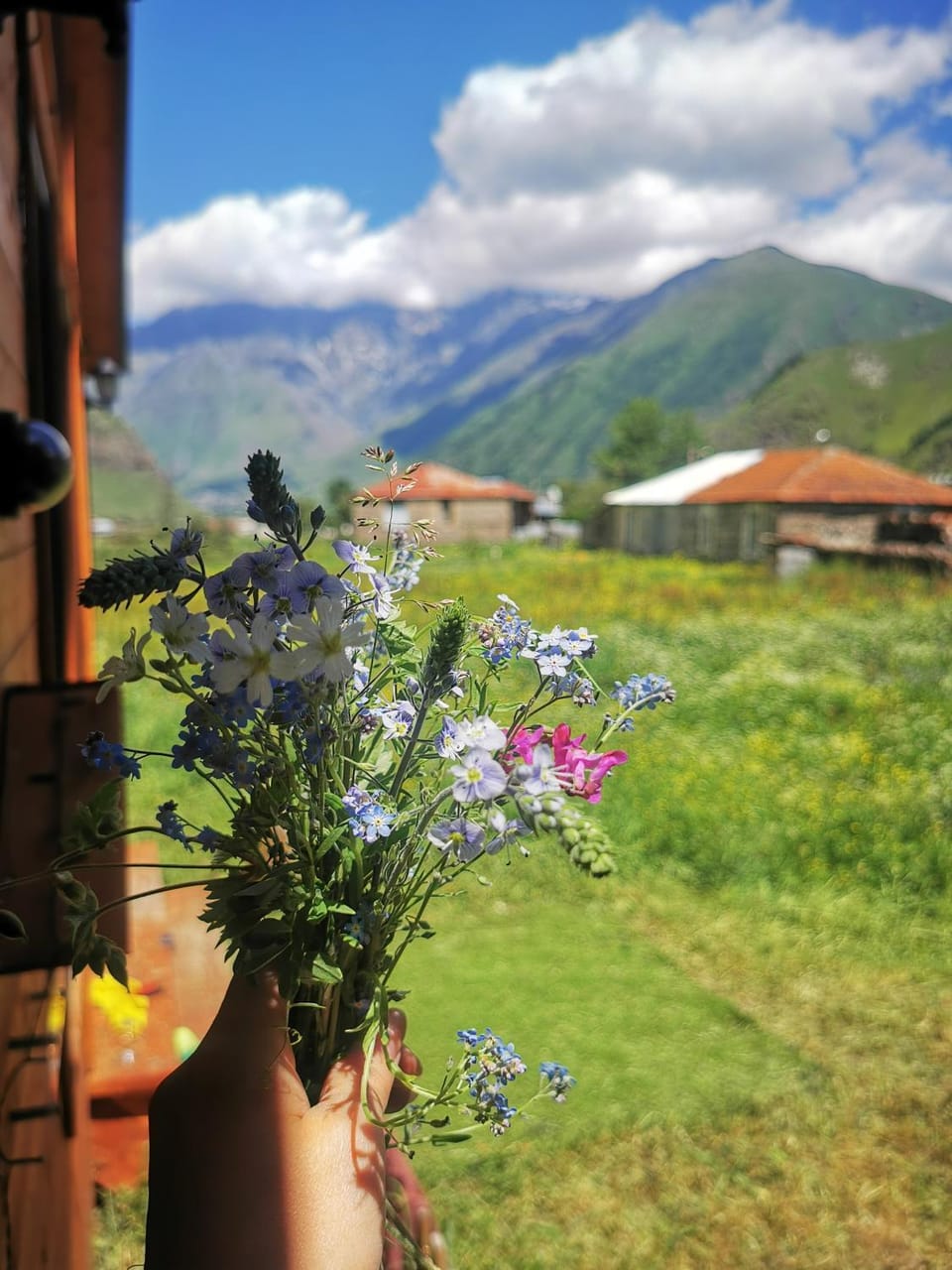 Spring, Day, Natural landscape, Garden, Garden view, Mountain view