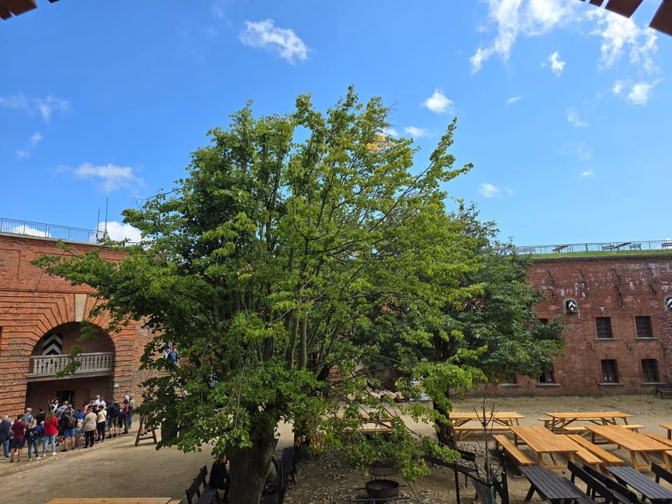 Inner courtyard view