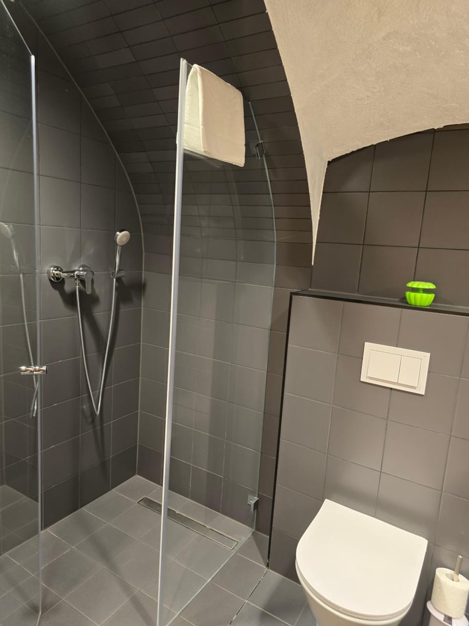 Shower, Toilet