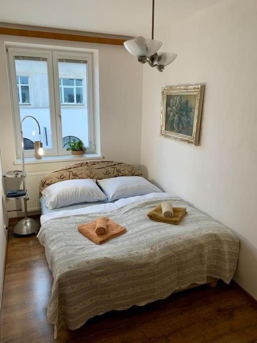 Apartmán POD LAMPOU Apartment in Czechia
