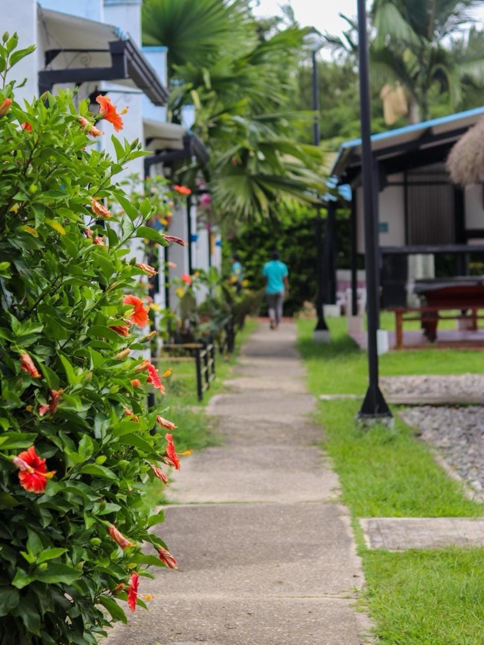Off site, Day, Natural landscape, Summer, Area and facilities