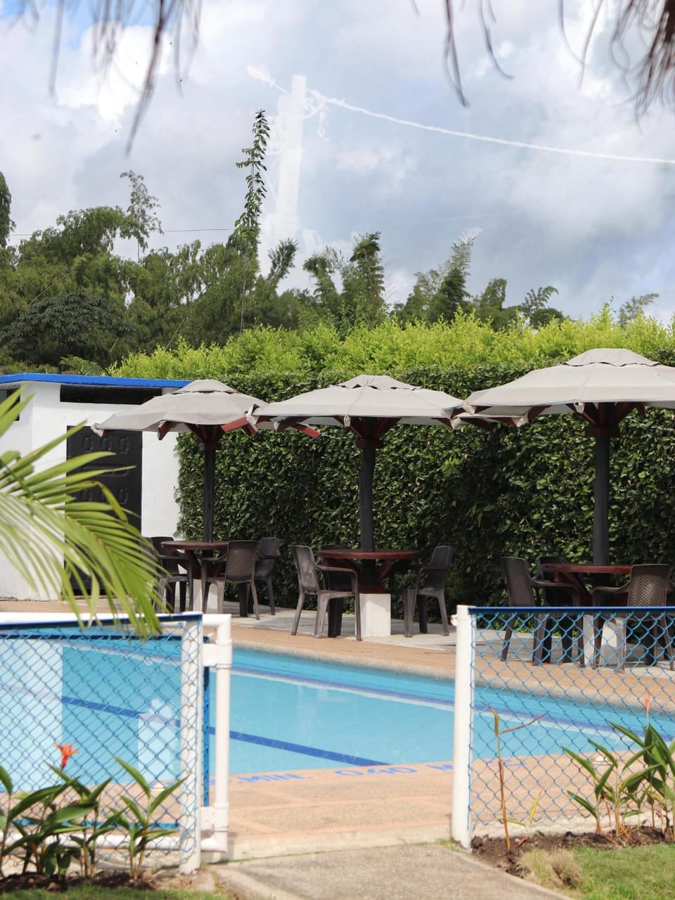 Pool view, Swimming pool