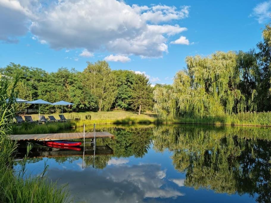 Garden, Lake view, Swimming pool