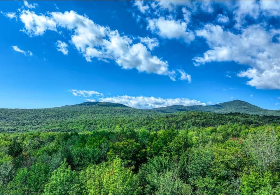 Scoot Cabin - Dogs Welcome! Cabin in Carrabassett Valley