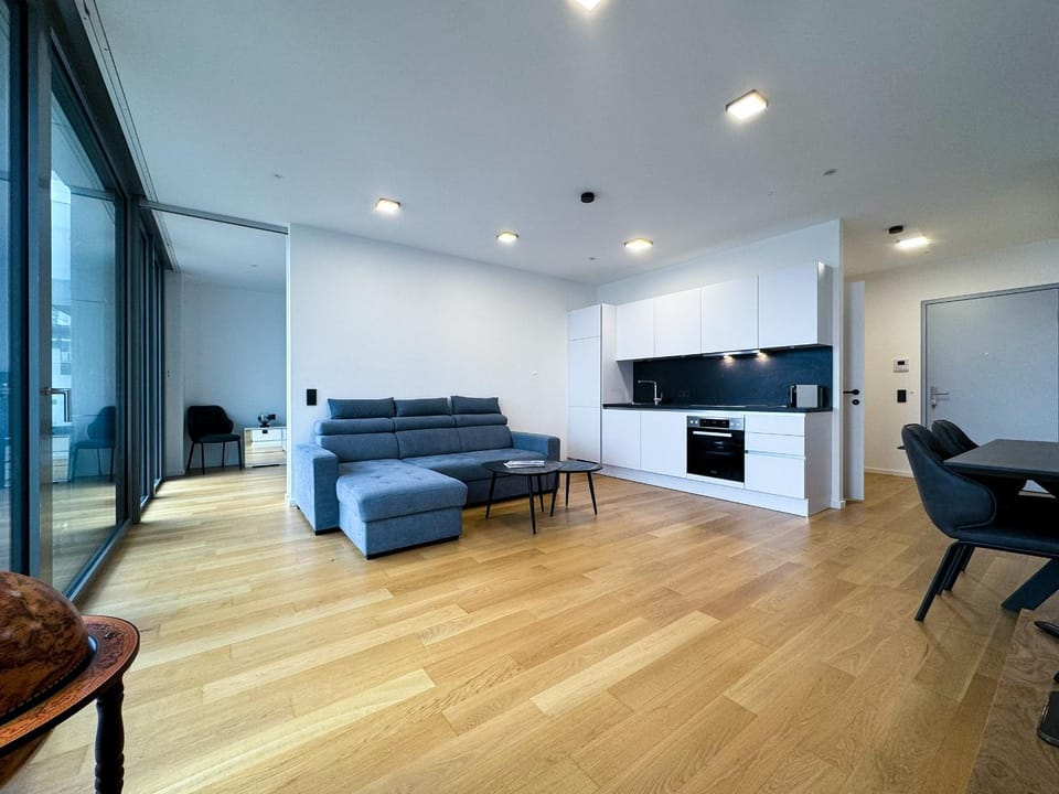 Living room, kitchen