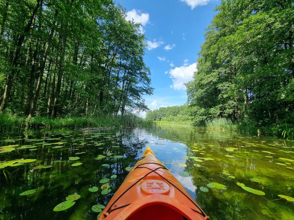 Nearby landmark, Activities, Canoeing, Lake view