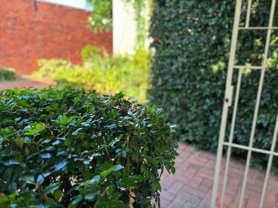 Garden view