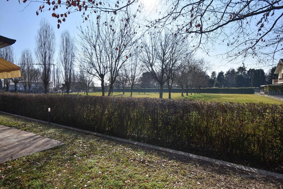 Day, Natural landscape, Garden, Garden view