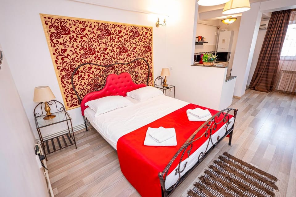 Studio Clasic Apartment in Romania