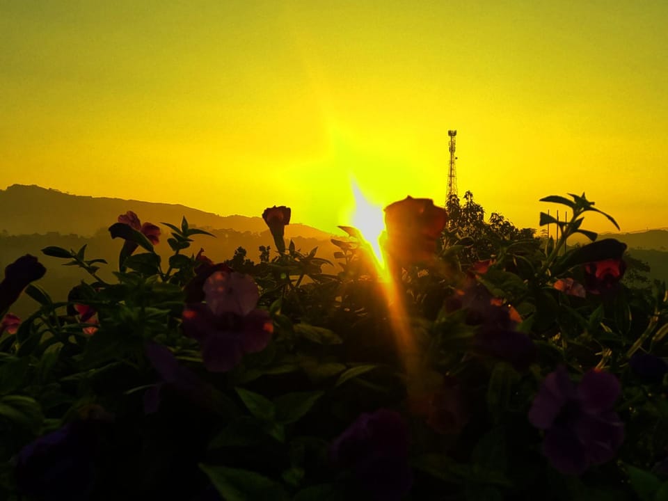 Sunrise