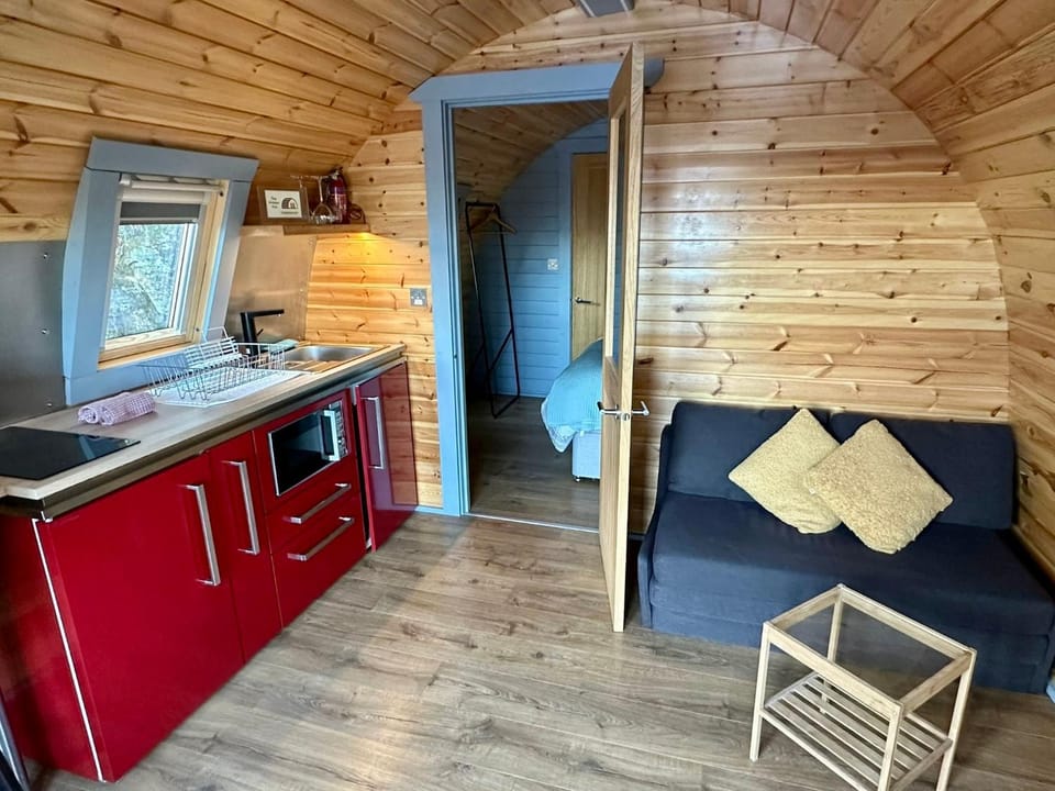 Kitchen or kitchenette, Living room, Seating area, microwave, oven, stove