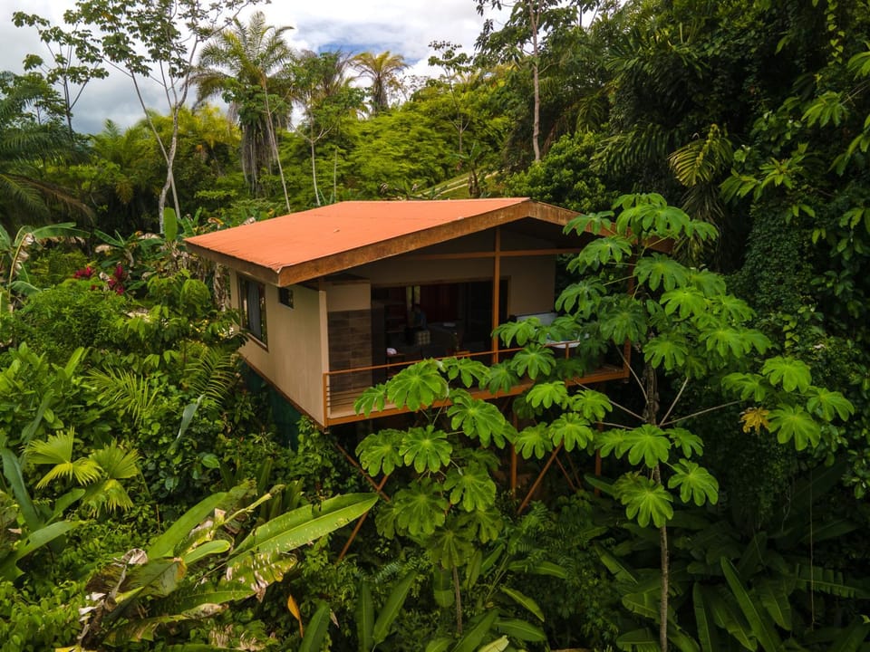 Property building, Day, Natural landscape
