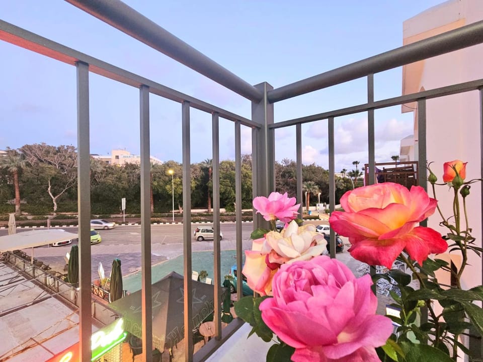 Spring, View (from property/room), Balcony/Terrace