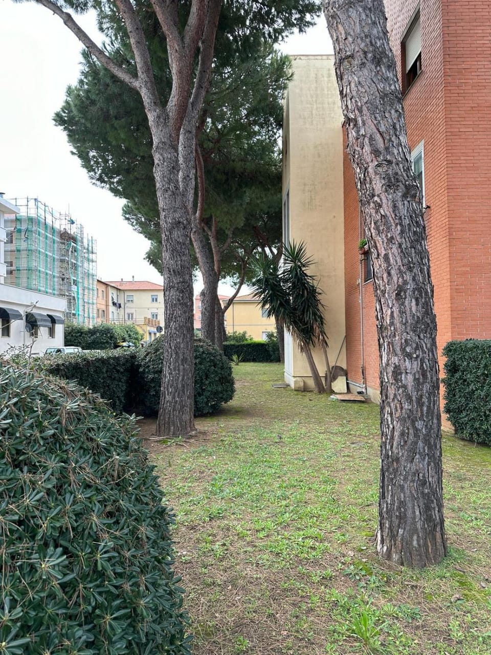 Garden, Garden view