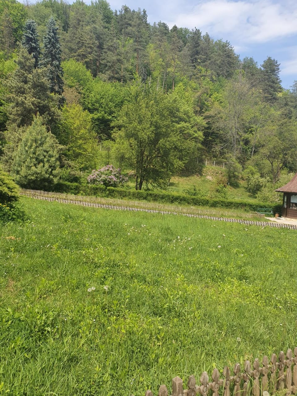 Pensiunea Roua Muntelui Bed and Breakfast in Romania