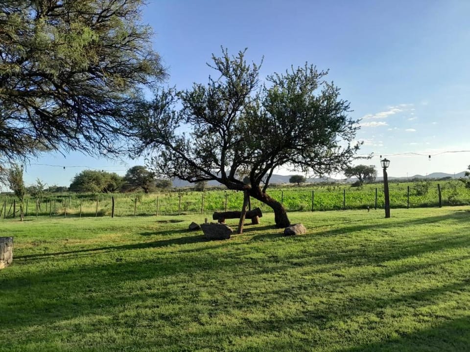 La Pausa. Casa de campo House in Santiago del Estero Province, Argentina
