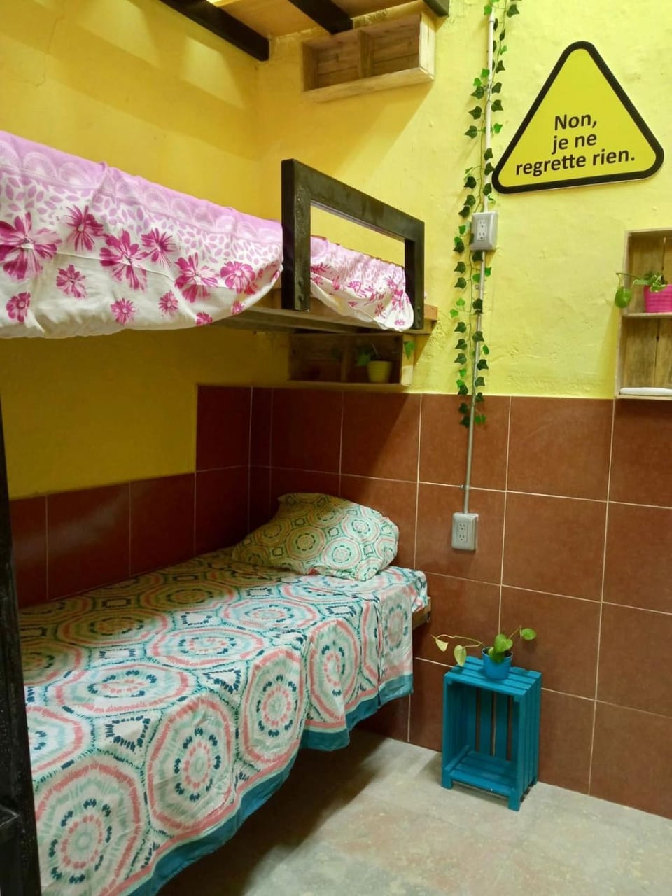 Hostal Republic Capsule hotel in Merida