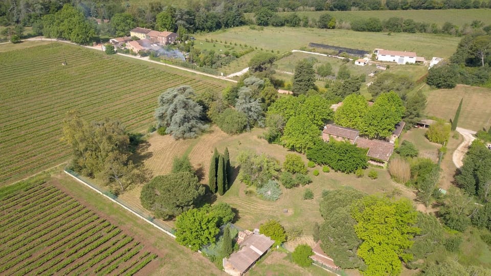 Bird's eye view, Garden, Garden view