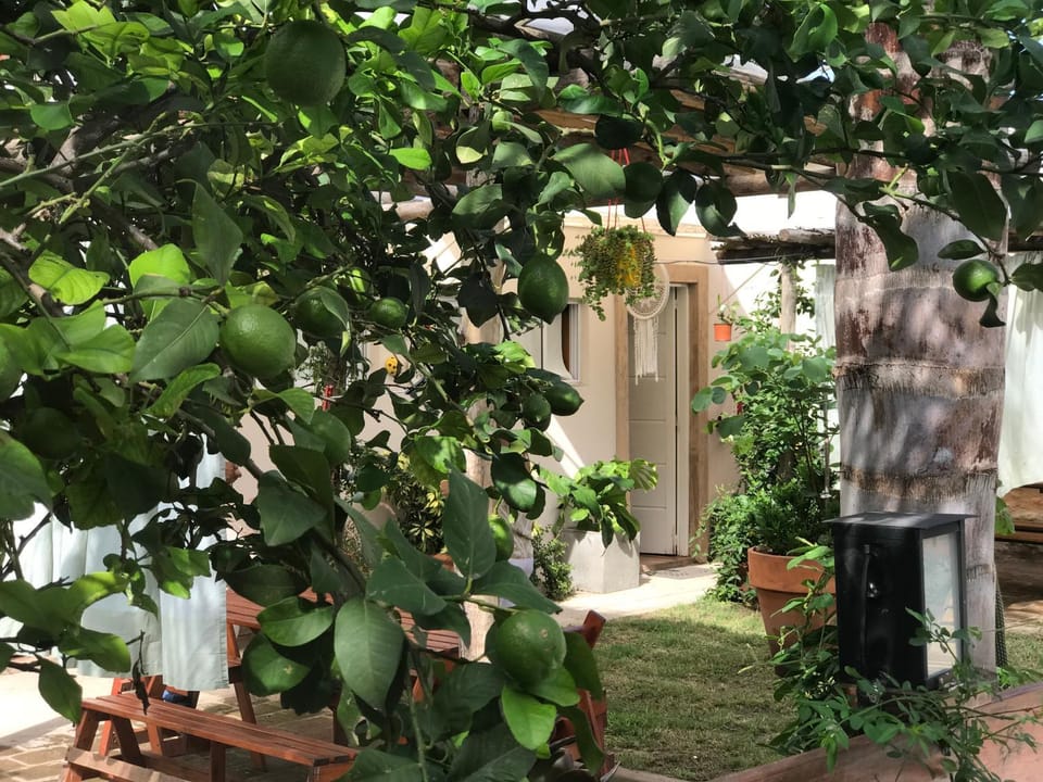 Spring, Garden view
