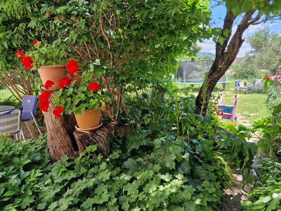 Location, children, Family