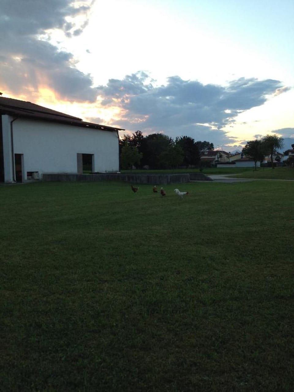 Farmstay Alloggio Cort di Branc Farm Stay in Friuli-Venezia Giulia
