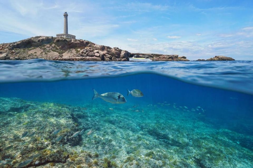 Snorkeling