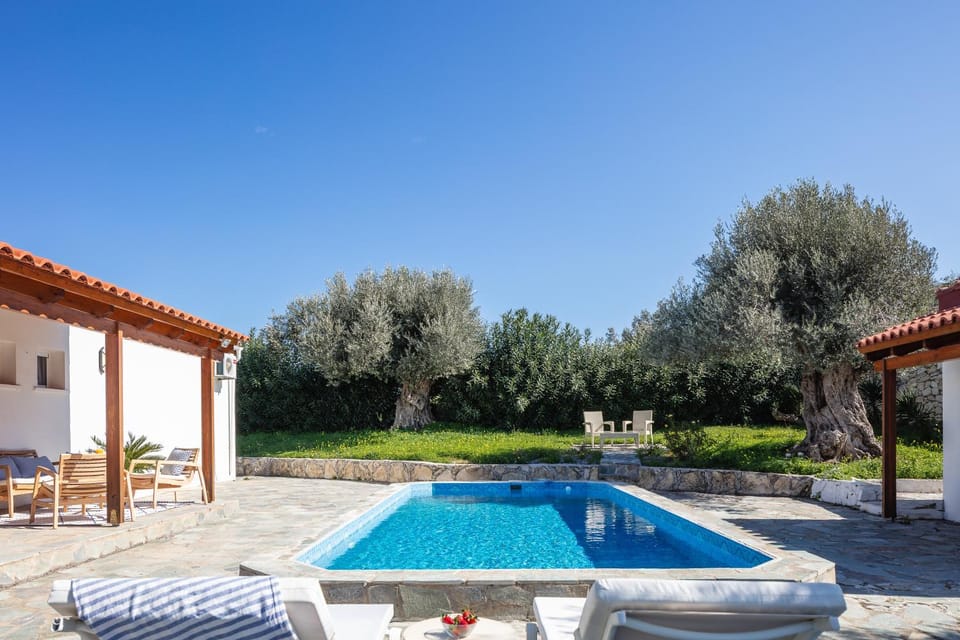 Garden, Swimming pool