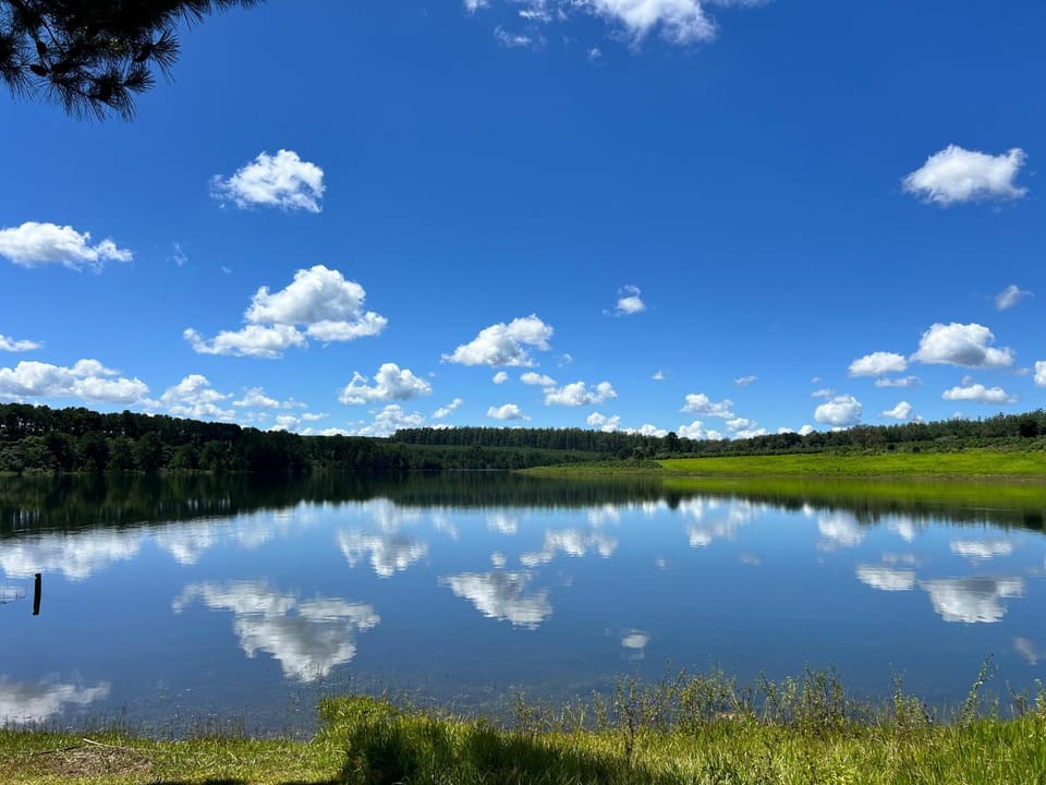 Lake view