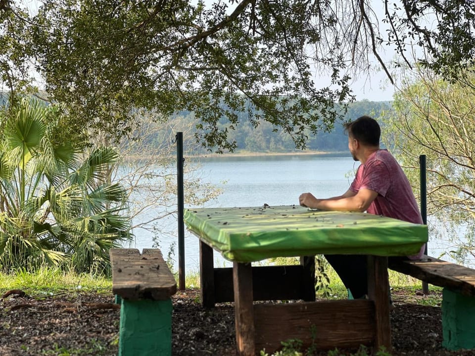 Spring, Day, People, Dining area, Guests, Lake view