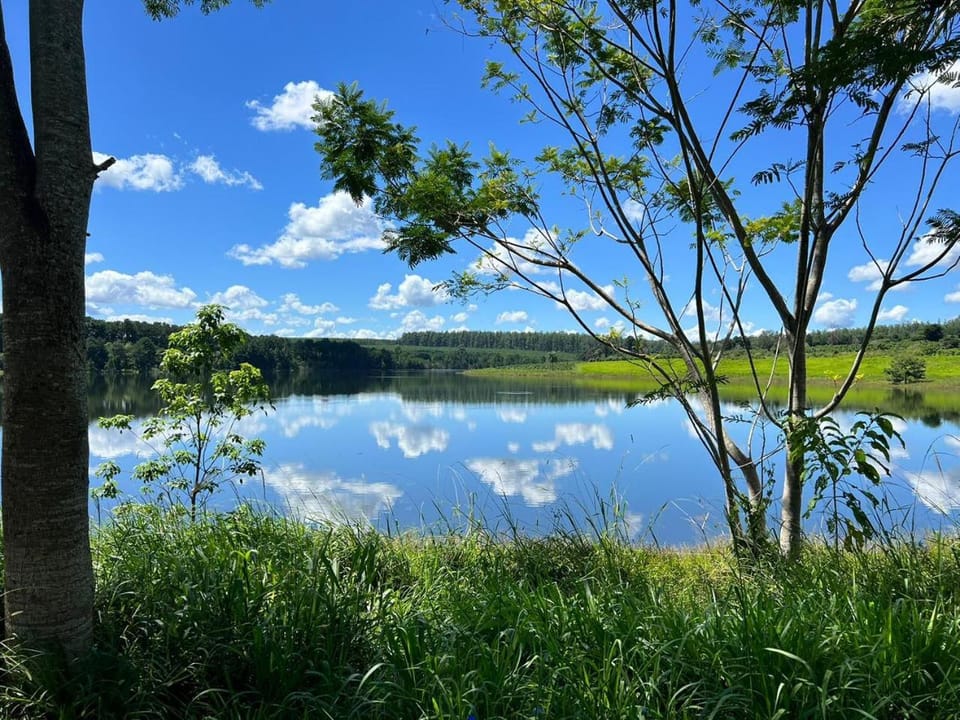 Lake view