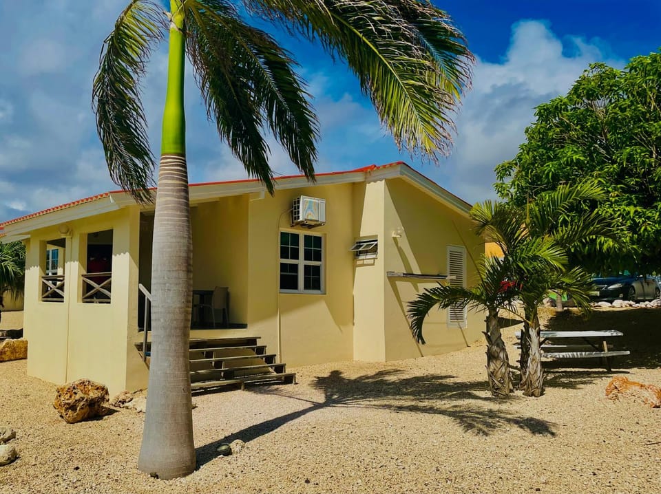 Property building, Garden, Garden view