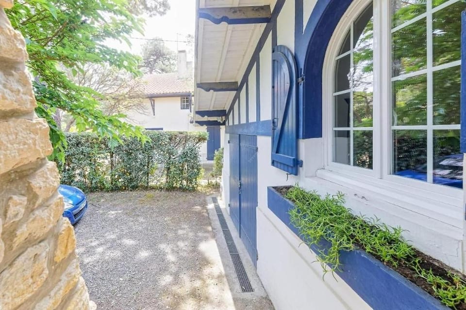 Property building, Spring, Day, Garden, Garden view
