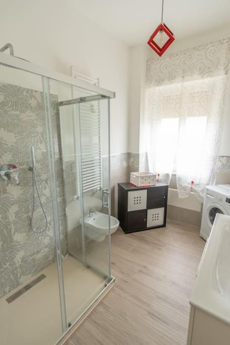 Shower, Bathroom, bidet, washing machine