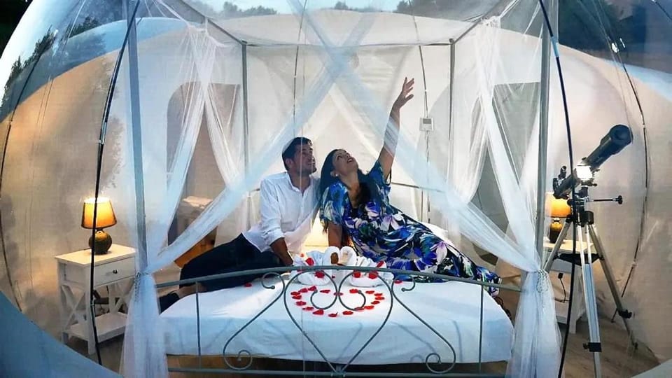 Bed, People, Photo of the whole room, Bedroom, Guests, Swimming pool, Breakfast, group of guests, wedding