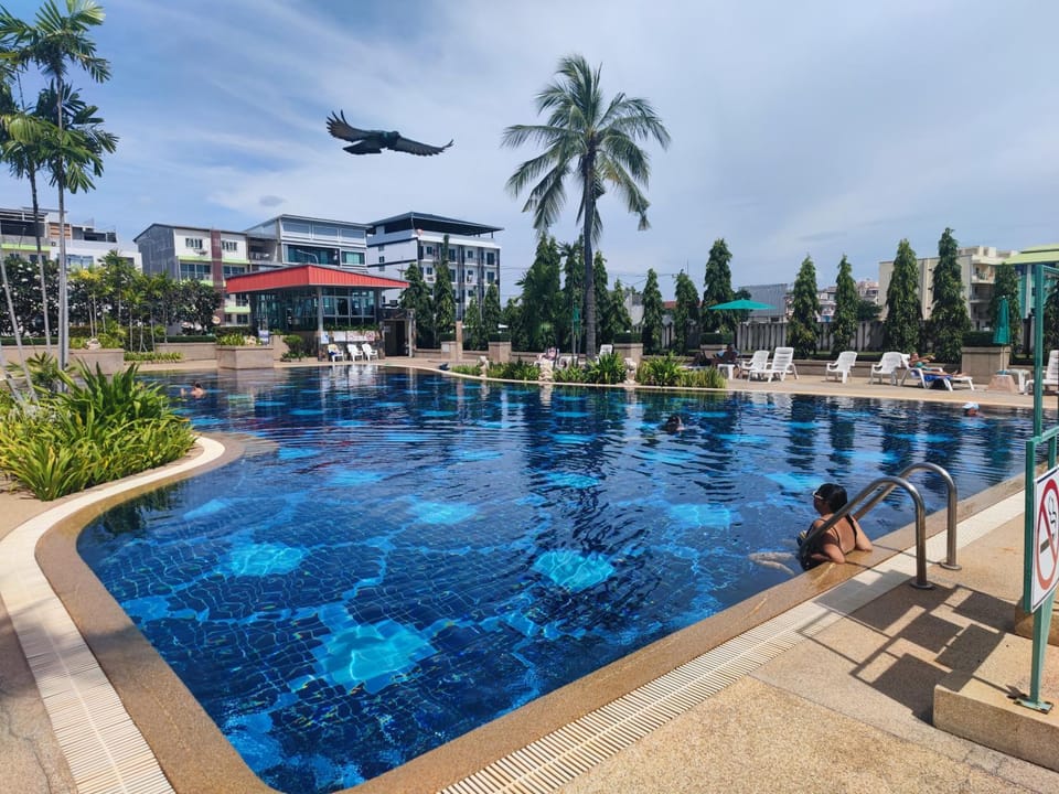 Swimming pool, Swimming pool
